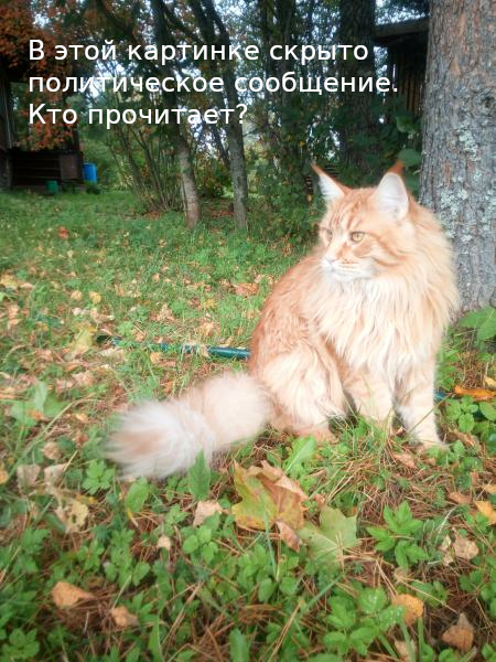 картинка с секретом